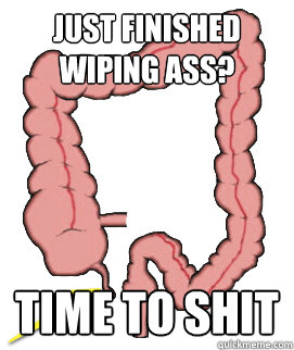 Just finished wiping ass? Time to shit  Scumbag Bowels