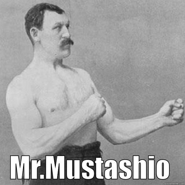  MR.MUSTASHIO overly manly man