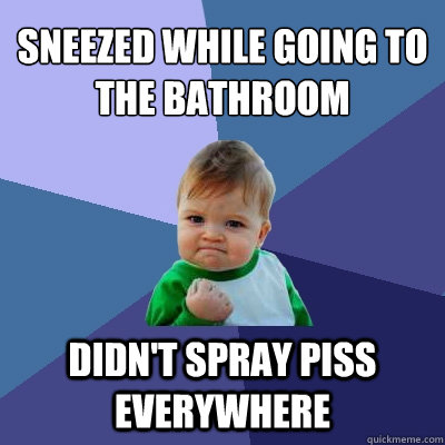 Sneezed while going to the bathroom Didn't spray piss everywhere  Success Kid