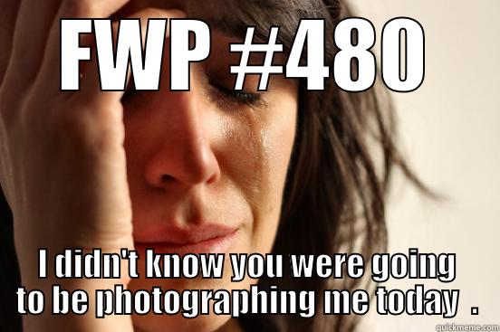 FWP #480 I DIDN'T KNOW YOU WERE GOING TO BE PHOTOGRAPHING ME TODAY  . First World Problems