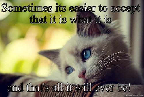 SOMETIMES ITS EASIER TO ACCEPT THAT IT IS WHAT IT IS AND THAT'S ALL IT WILL EVER BE!  First World Problems Cat
