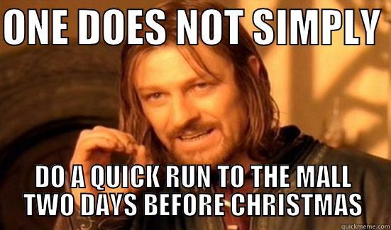 ONE DOES NOT SIMPLY  DO A QUICK RUN TO THE MALL TWO DAYS BEFORE CHRISTMAS Boromir