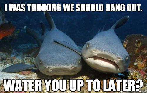 I was thinking we should hang out. Water you up to later?  Compassionate Shark Friend