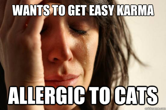 Wants to get easy karma Allergic to cats  First World Problems
