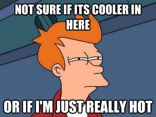 Not sure if its cooler in here Or if I'm just really hot  Futurama Fry