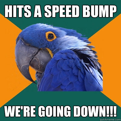 Hits a speed bump WE'RE GOING DOWN!!!  Paranoid Parrot
