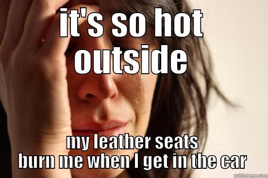 IT'S SO HOT OUTSIDE MY LEATHER SEATS BURN ME WHEN I GET IN THE CAR First World Problems