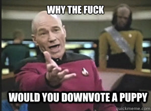 why the fuck Would you downvote a puppy  Annoyed Picard