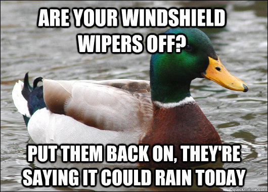Are your windshield wipers off? put them back on, they're saying it could rain today  Actual Advice Mallard