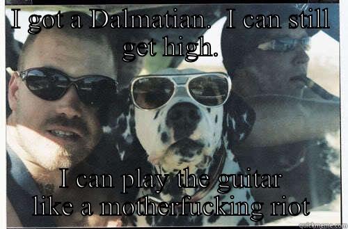I GOT A DALMATIAN.  I CAN STILL GET HIGH. I CAN PLAY THE GUITAR LIKE A MOTHERFUCKING RIOT Misc