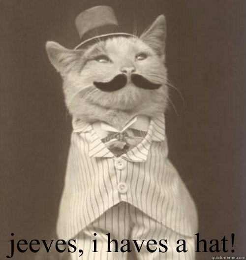  jeeves, i haves a hat!  Original Business Cat