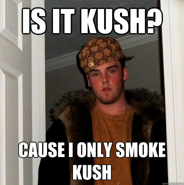 Is it kush? cause i only smoke kush  Scumbag Steve