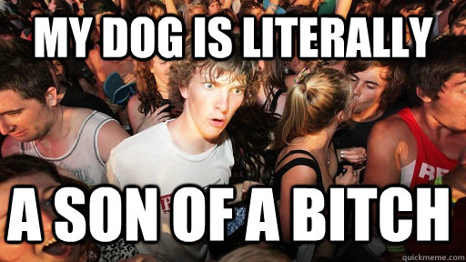 My dog is literally  a son of a bitch  Sudden Clarity Clarence