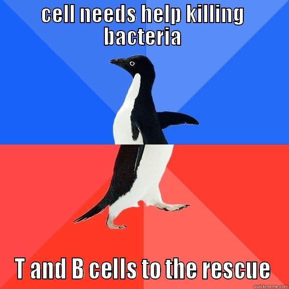 more more more college - CELL NEEDS HELP KILLING BACTERIA T AND B CELLS TO THE RESCUE Socially Awkward Awesome Penguin