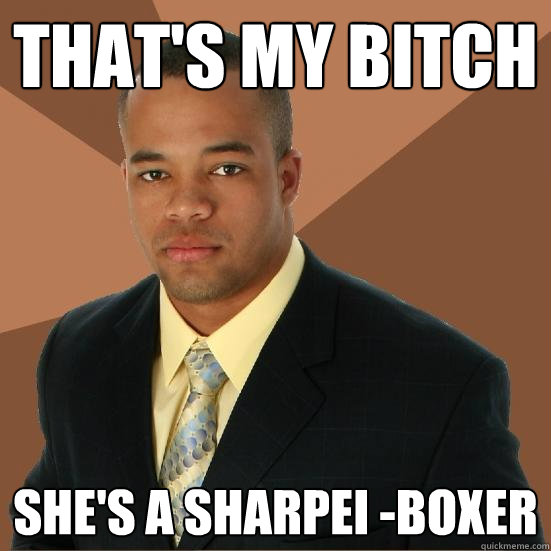 That's my bitch She's a Sharpei -boxer  Successful Black Man Meth