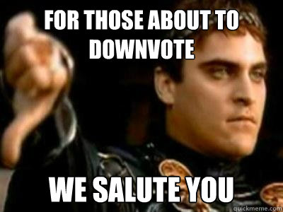 FOR THOSE ABOUT TO DOWNVOTE WE SALUTE YOU  Downvoting Roman