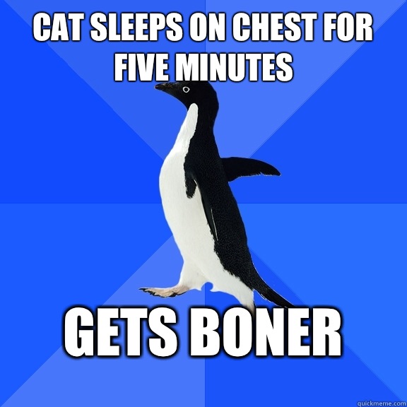 Cat sleeps On chest for five minutes  Gets boner   Socially Awkward Penguin