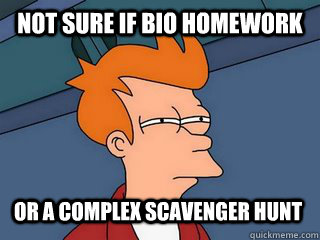 Not sure if bio homework or a complex scavenger hunt  Notsureif