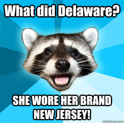 What did Delaware? SHE WORE HER BRAND NEW JERSEY! - What did Delaware? SHE WORE HER BRAND NEW JERSEY!  Lame Pun Coon