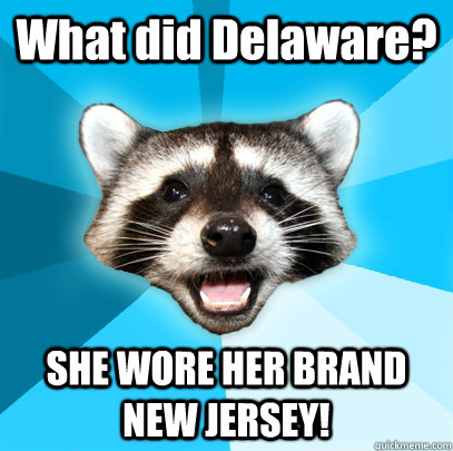 What did Delaware? SHE WORE HER BRAND NEW JERSEY!  Lame Pun Coon