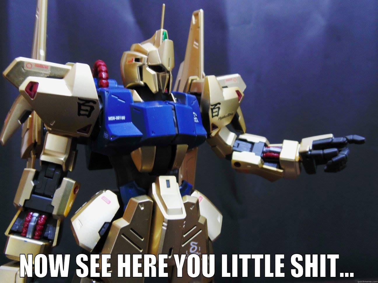  NOW SEE HERE YOU LITTLE SHIT... Misc