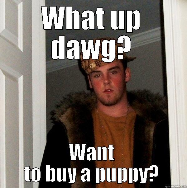 WHAT UP DAWG? WANT TO BUY A PUPPY? Scumbag Steve