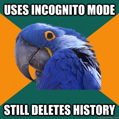 uses incognito mode still deletes history  Paranoid Parrot