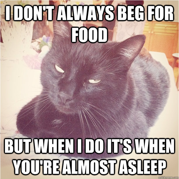 I don't always beg for food But when i do it's when you're almost asleep  