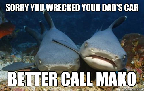 sorry you wrecked your dad's car better call mako  Compassionate Shark Friend