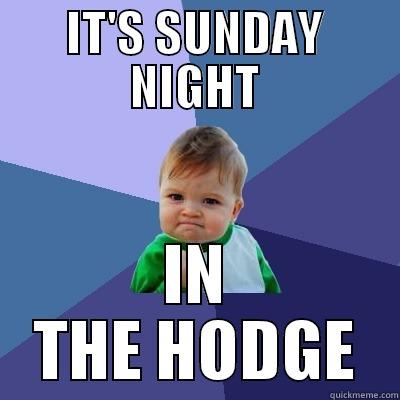 IT'S SUNDAY NIGHT IN THE HODGE Success Kid