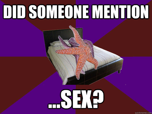 did someone mention ...sex?  Ladys Man Starfish