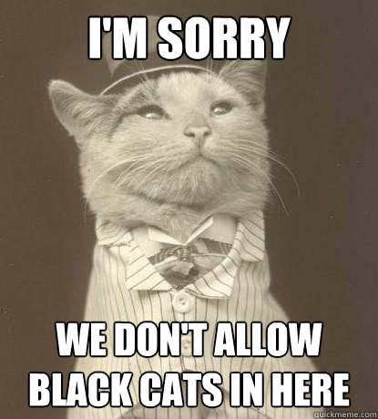 i'm sorry we don't allow black cats in here  Aristocat