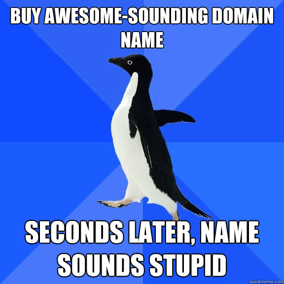 Buy awesome-sounding domain name SECONDS LATER, NAME SOUNDS STUPID  Socially Awkward Penguin