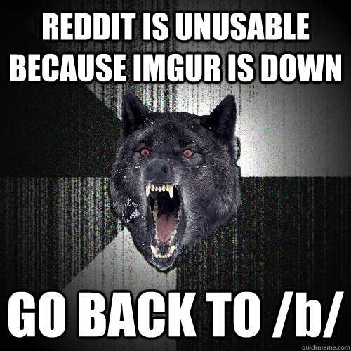 REDDIT IS UNUSABLE BECAUSE IMGUR IS DOWN GO BACK TO /b/  Insanity Wolf