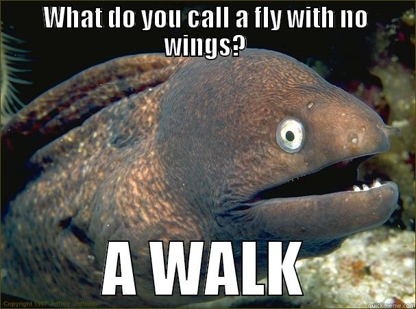 WHAT DO YOU CALL A FLY WITH NO WINGS? A WALK Bad Joke Eel