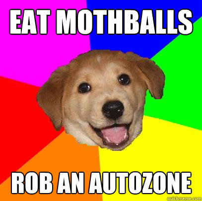 EAT MOTHBALLS ROB AN AUTOZONE  Advice Dog