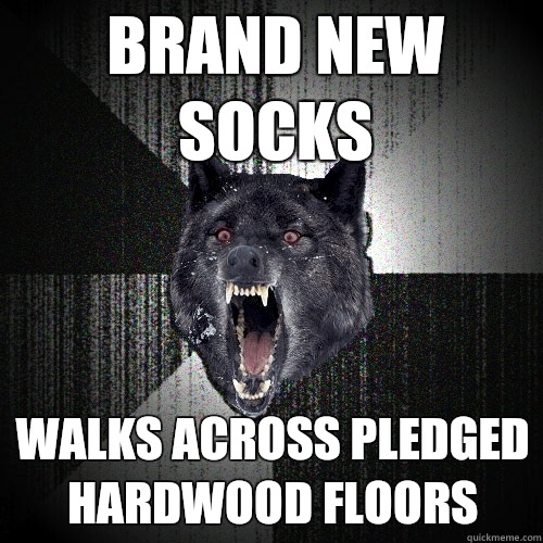 Brand new socks Walks across pledged hardwood floors - Brand new socks Walks across pledged hardwood floors  Insanity Wolf