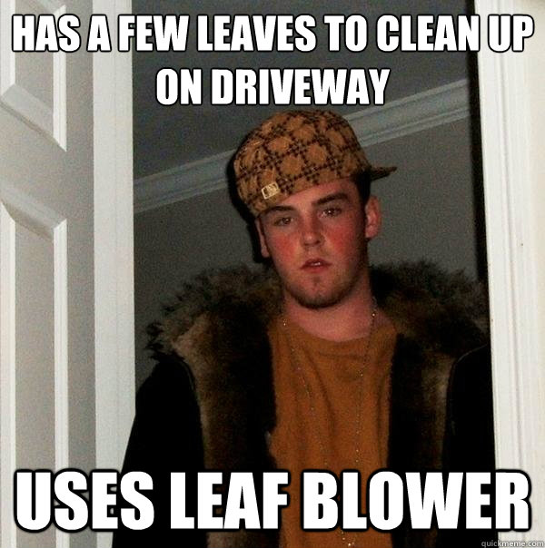 has a few leaves to clean up on driveway uses leaf blower  Scumbag Steve