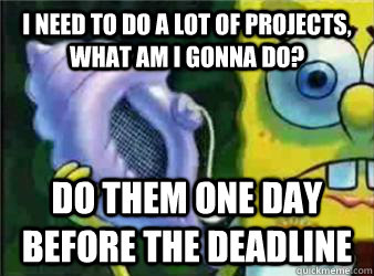 i need to do a lot of projects, what am i gonna do? do them one day before the deadline  Magic Conch Shell