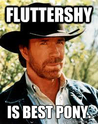 fluttershy is best pony.  - fluttershy is best pony.   CUZ HE IS CHUCK NORRIS