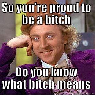 SO YOU'RE PROUD TO BE A BITCH DO YOU KNOW WHAT BITCH MEANS Condescending Wonka