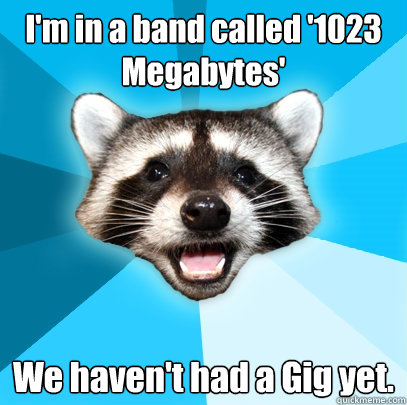 I'm in a band called '1023 Megabytes' We haven't had a Gig yet.  Lame Pun Coon