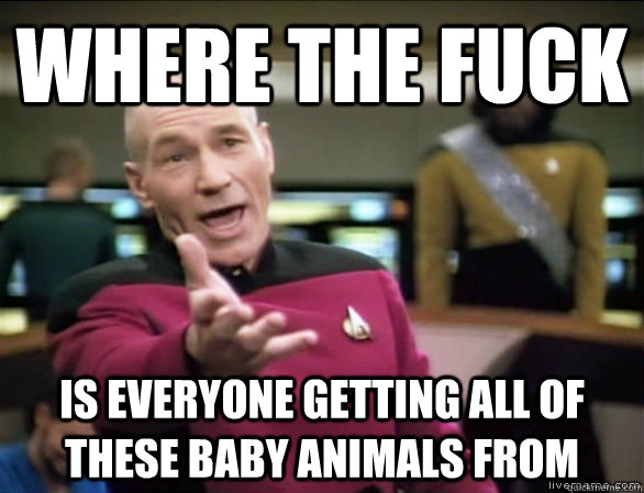 where the fuck is everyone getting all of these baby animals from  Annoyed Picard HD