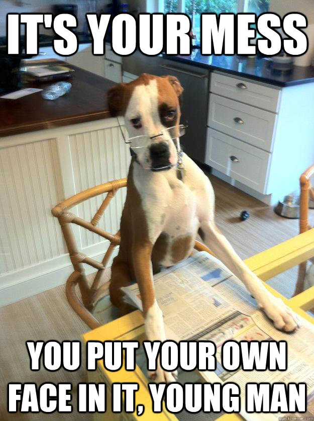 it's your mess You put your own face in it, young man  The Dog Father