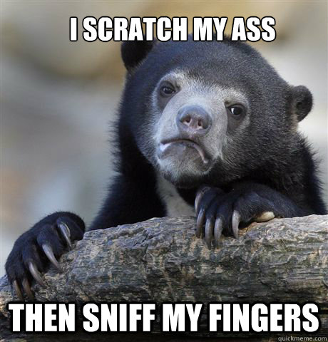 i scratch my ass then sniff my fingers  Confession Bear