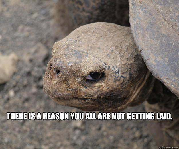  there is a reason you all are not getting laid.  Angry Turtle