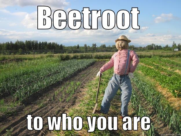 beetroot to who you are - BEETROOT         TO WHO YOU ARE        Scarecrow