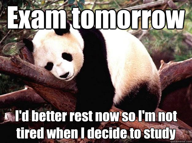 Exam tomorrow I'd better rest now so I'm not tired when I decide to study  Procrastination Panda