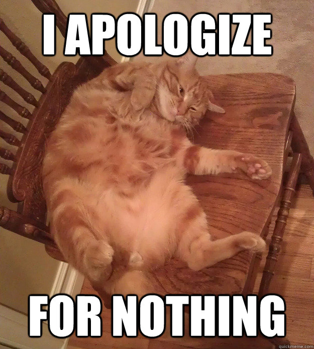 I apologize for nothing - I apologize for nothing  Hedonism Cat