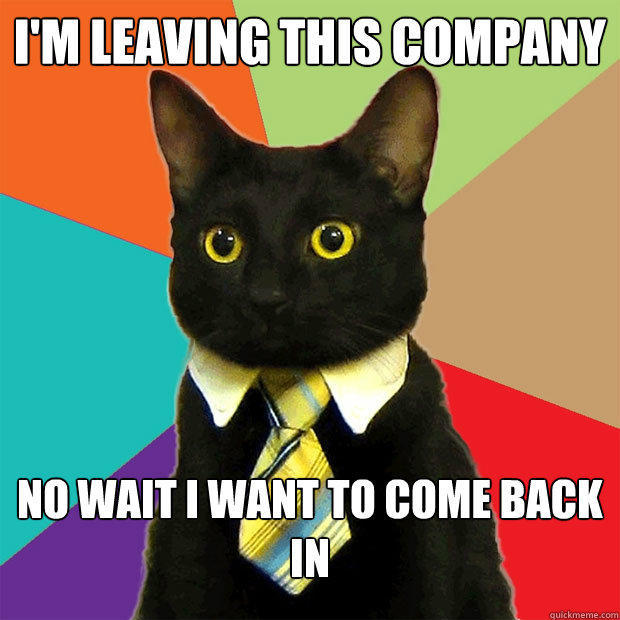 I'm leaving this company no wait I want to come back in - I'm leaving this company no wait I want to come back in  Business Cat